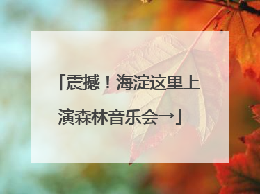 震撼！海淀这里上演森林音乐会→