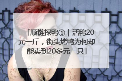 顺链探鸭①｜活鸭20元一斤，街头烤鸭为何却能卖到20多元一只