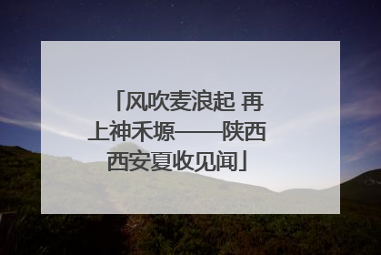 风吹麦浪起 再上神禾塬——陕西西安夏收见闻