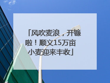 风吹麦浪，开镰啦！顺义15万亩小麦迎来丰收