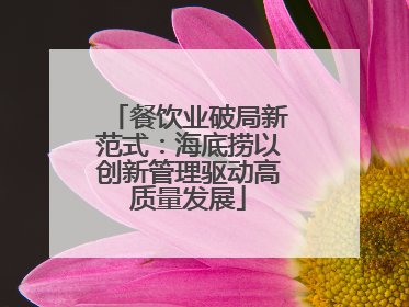 餐饮业破局新范式：海底捞以创新管理驱动高质量发展