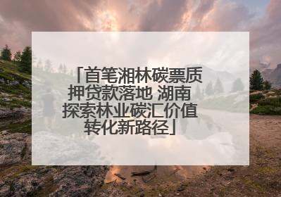 首笔湘林碳票质押贷款落地 湖南探索林业碳汇价值转化新路径