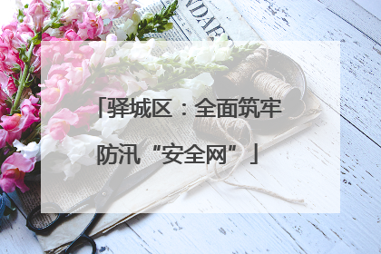 驿城区：全面筑牢防汛“安全网”