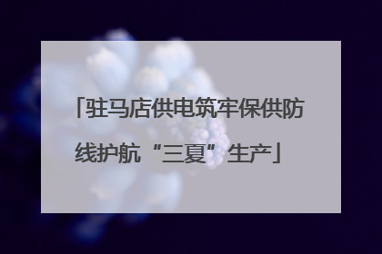 驻马店供电筑牢保供防线护航“三夏”生产