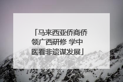 马来西亚侨商侨领广西研修 学中医看非遗谋发展