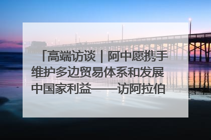 高端访谈｜阿中愿携手维护多边贸易体系和发展中国家利益——访阿拉伯议会议长亚马希