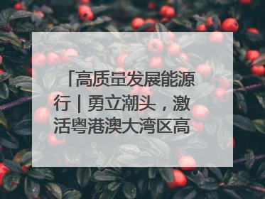 高质量发展能源行｜勇立潮头，激活粤港澳大湾区高质量发展动力源