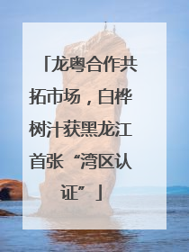 龙粤合作共拓市场，白桦树汁获黑龙江首张“湾区认证”