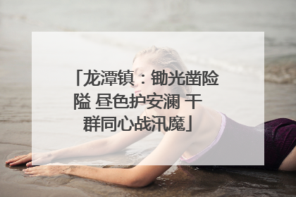 龙潭镇：锄光凿险隘 昼色护安澜 干群同心战汛魔