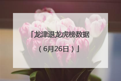 龙津退龙虎榜数据（6月26日）