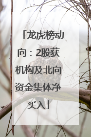 龙虎榜动向：2股获机构及北向资金集体净买入