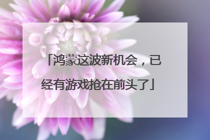 鸿蒙这波新机会，已经有游戏抢在前头了