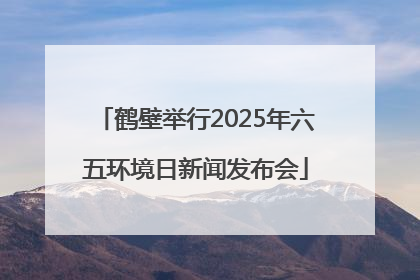 鹤壁举行2025年六五环境日新闻发布会