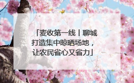麦收第一线丨聊城打造集中晾晒场地，让农民省心又省力