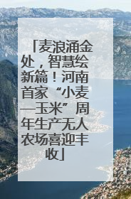麦浪涌金处，智慧绘新篇！河南首家“小麦—玉米”周年生产无人农场喜迎丰收