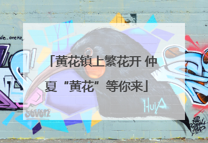 黄花镇上繁花开 仲夏“黄花”等你来