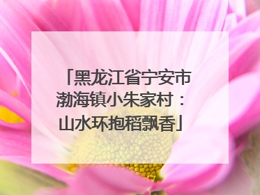 黑龙江省宁安市渤海镇小朱家村：山水环抱稻飘香
