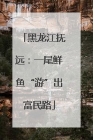 黑龙江抚远：一尾鲜鱼“游”出富民路