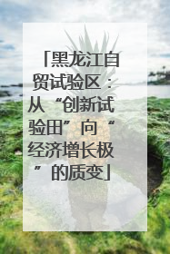 黑龙江自贸试验区：从“创新试验田”向“经济增长极”的质变