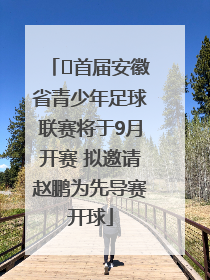 ﻿首届安徽省青少年足球联赛将于9月开赛 拟邀请赵鹏为先导赛开球