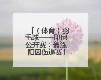 （体育）羽毛球——印尼公开赛：翁泓阳因伤退赛