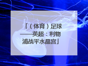 （体育）足球——英超：利物浦战平水晶宫