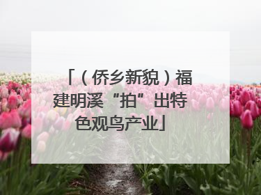 （侨乡新貌）福建明溪“拍”出特色观鸟产业