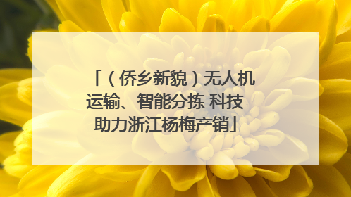 （侨乡新貌）无人机运输、智能分拣 科技助力浙江杨梅产销