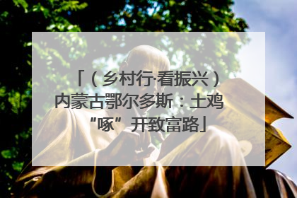 （乡村行·看振兴）内蒙古鄂尔多斯：土鸡“啄”开致富路