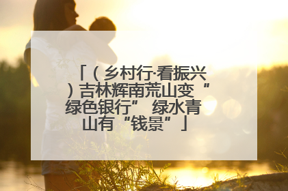 （乡村行·看振兴）吉林辉南荒山变“绿色银行” 绿水青山有“钱景”