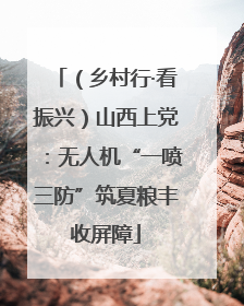 （乡村行·看振兴）山西上党：无人机“一喷三防”筑夏粮丰收屏障