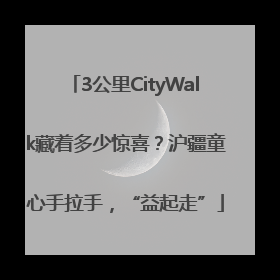 3公里CityWalk藏着多少惊喜？沪疆童心手拉手，“益起走”