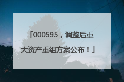 000595，调整后重大资产重组方案公布！