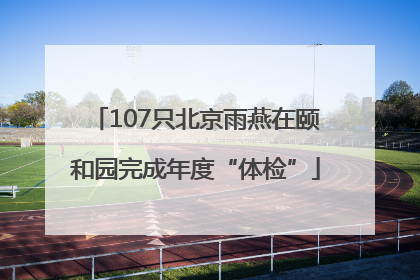 107只北京雨燕在颐和园完成年度“体检”