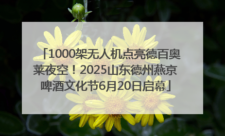 1000架无人机点亮德百奥莱夜空！2025山东德州燕京啤酒文化节6月20日启幕