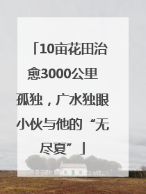 10亩花田治愈3000公里孤独，广水独眼小伙与他的“无尽夏”