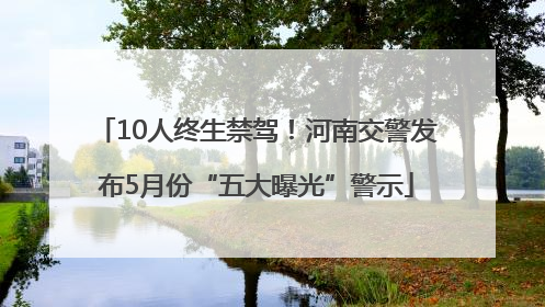 10人终生禁驾！河南交警发布5月份“五大曝光”警示
