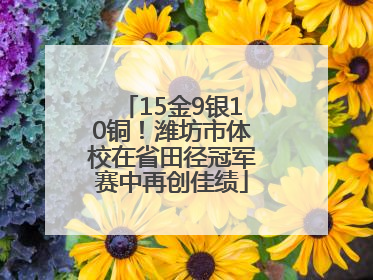 15金9银10铜！潍坊市体校在省田径冠军赛中再创佳绩