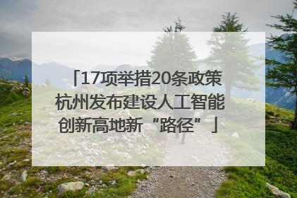17项举措20条政策 杭州发布建设人工智能创新高地新“路径”