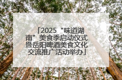 2025“味道湖南”美食季启动仪式暨岳阳啤酒美食文化交流推广活动举办