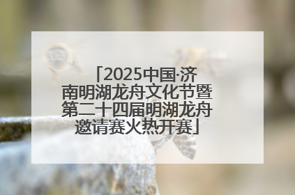 2025中国·济南明湖龙舟文化节暨第二十四届明湖龙舟邀请赛火热开赛