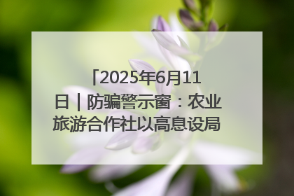 2025年6月11日｜防骗警示窗：农业旅游合作社以高息设局，集资380万