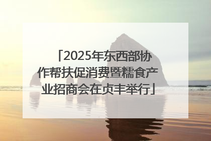 2025年东西部协作帮扶促消费暨糯食产业招商会在贞丰举行
