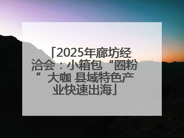 2025年廊坊经洽会：小箱包“圈粉”大咖 县域特色产业快速出海