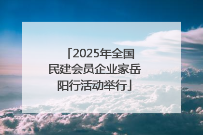 2025年全国民建会员企业家岳阳行活动举行