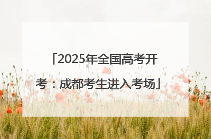 2025年全国高考开考：成都考生进入考场