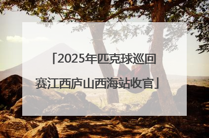 2025年匹克球巡回赛江西庐山西海站收官