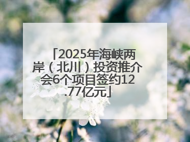 2025年海峡两岸（北川）投资推介会6个项目签约12.77亿元