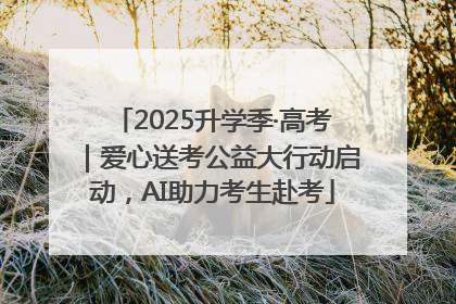 2025升学季·高考｜爱心送考公益大行动启动，AI助力考生赴考