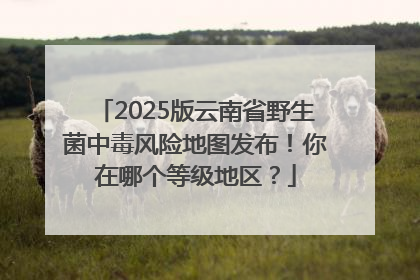 2025版云南省野生菌中毒风险地图发布！你在哪个等级地区？